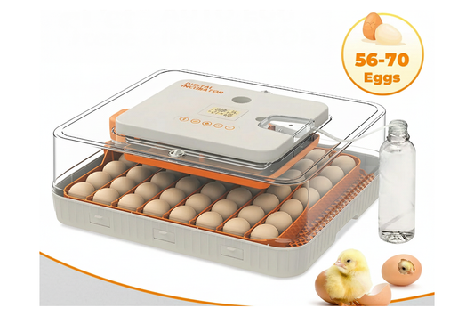 Automatic Egg Incubator 56-70 Eggs