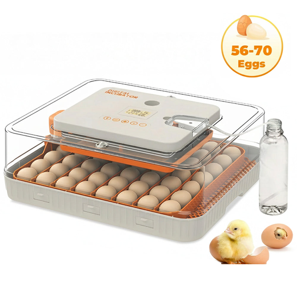 Automatic Egg Incubator 56-70 Eggs