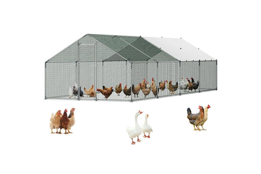 Chicken Coop 8Mx3Mx2M