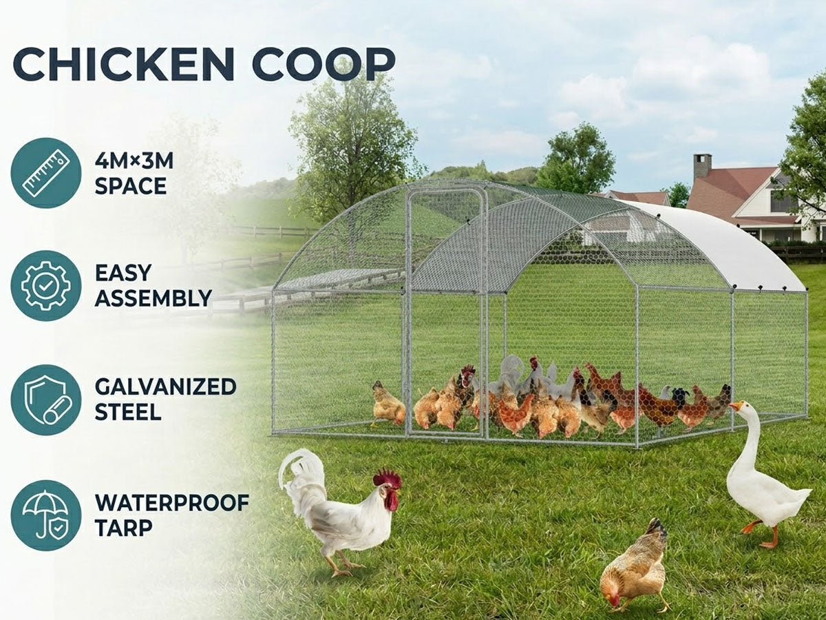 Outdoor Chicken Coop