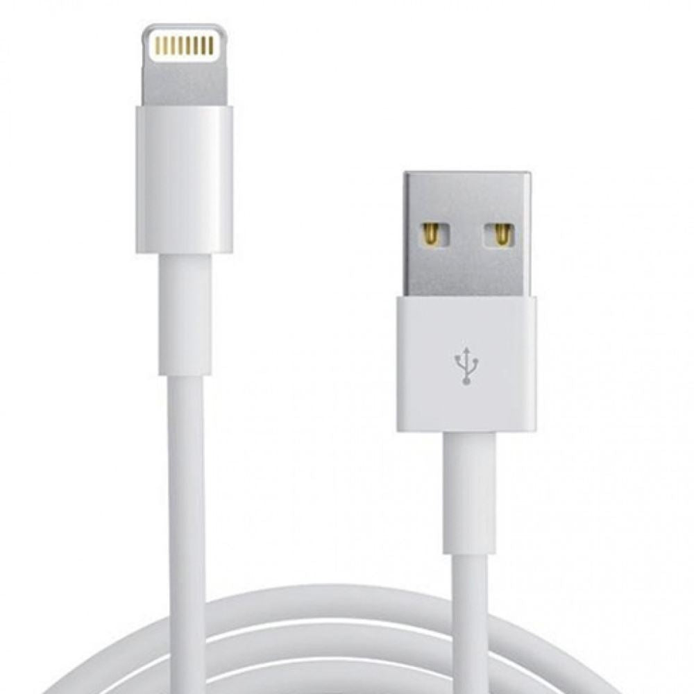 Replacement iPhone Charger