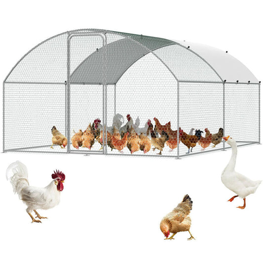 Outdoor Chicken Coop