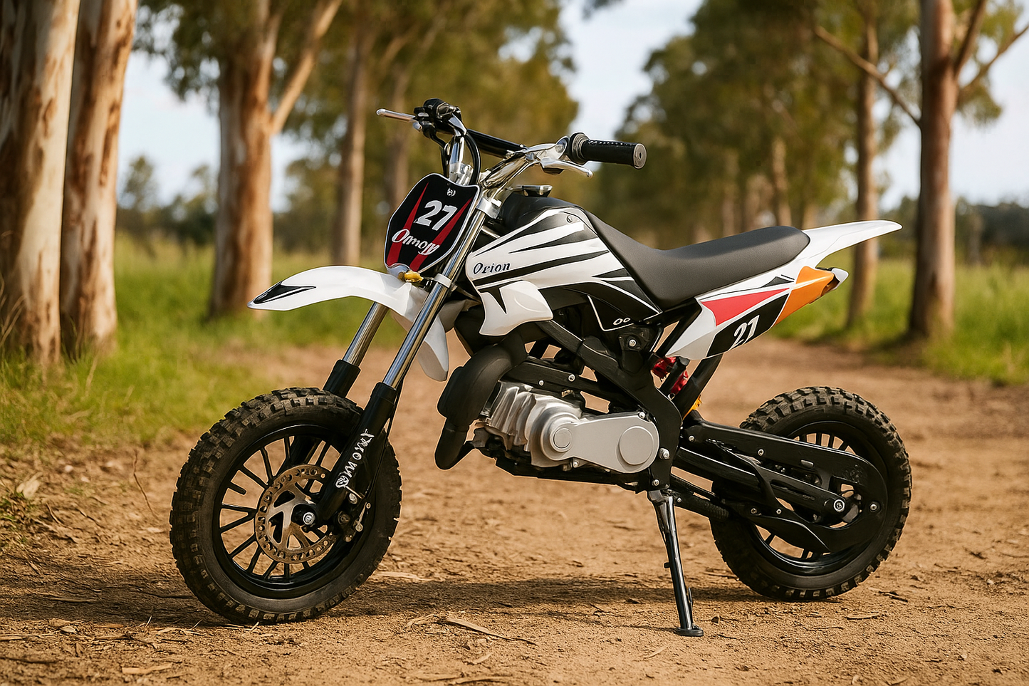 Mini Dirt Bike 49cc Petrol