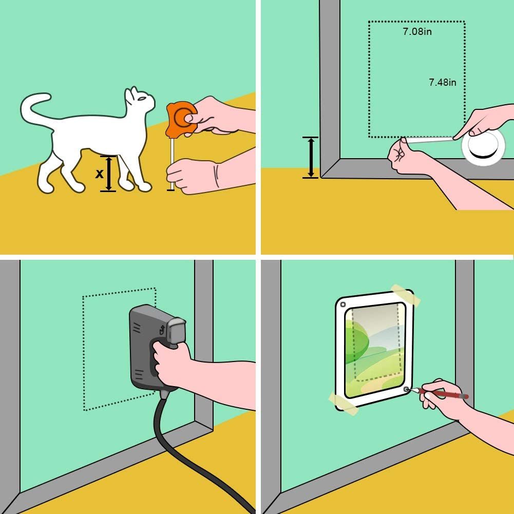 Cat Door