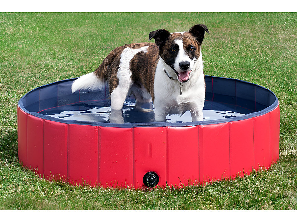 Dog Pet Swimming Pool