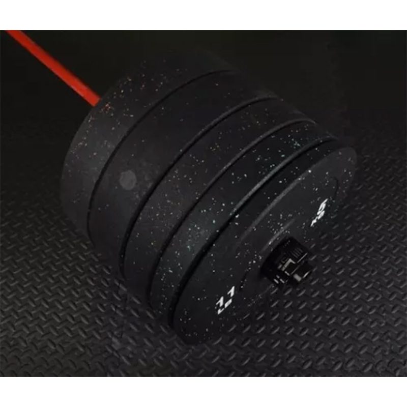 Bumper Plates Weight plates 2x20KG