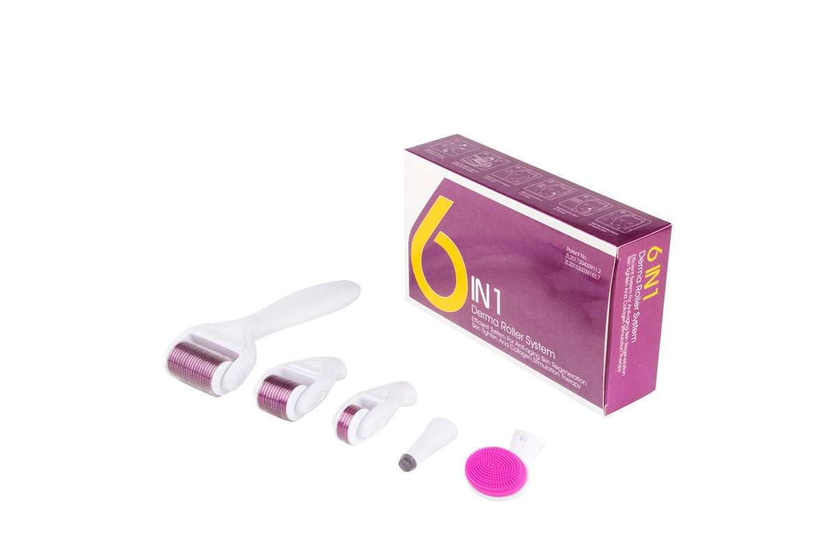 6 in 1 DRS Derma roller
