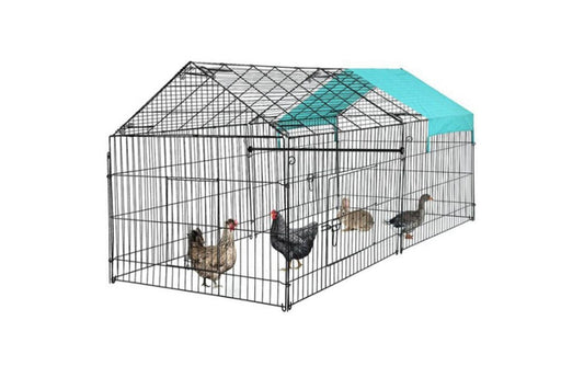 Outdoor Chicken Coop
