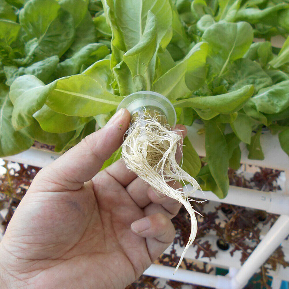 Indoor Garden Growing System Hydroponic Kit