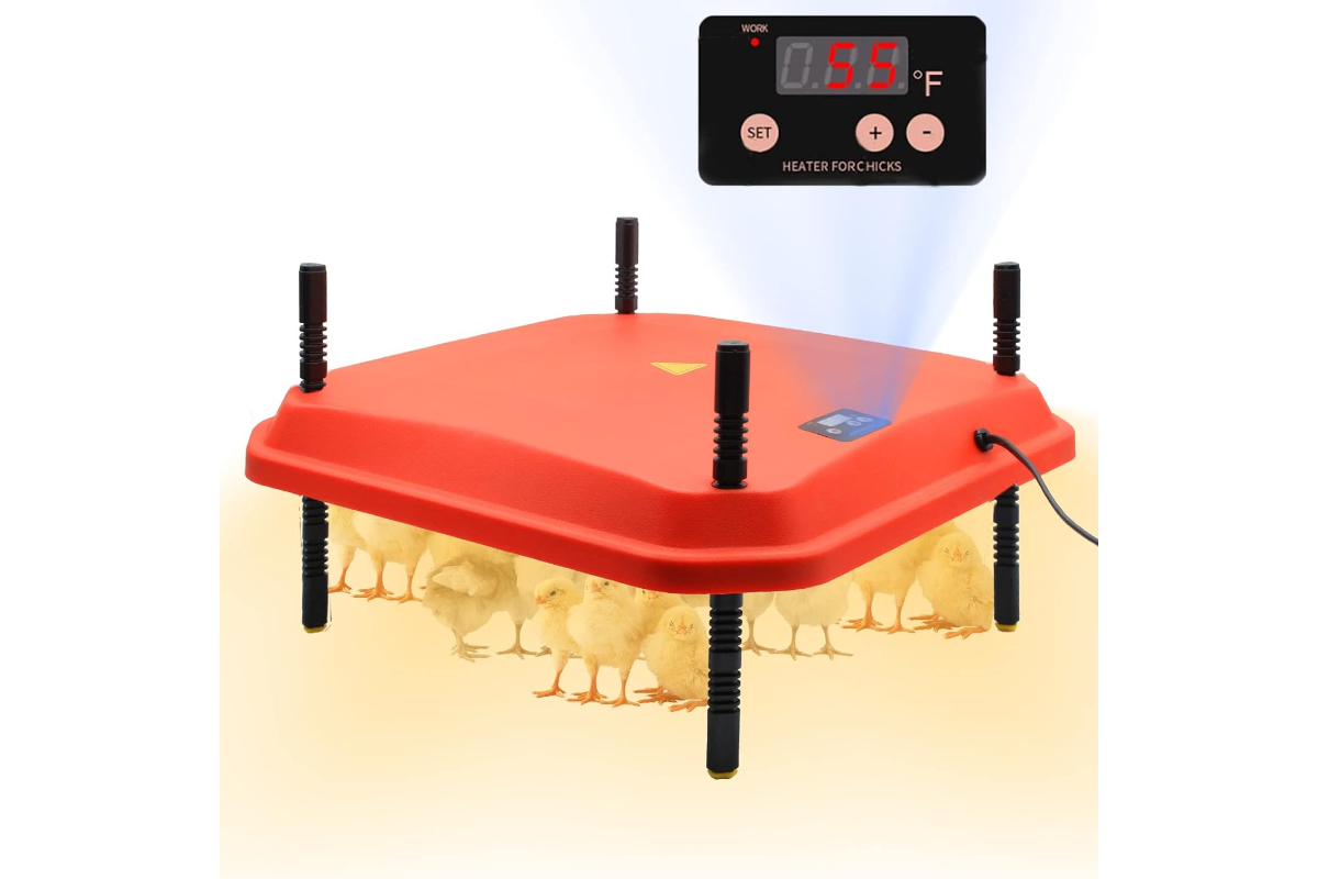 Chicken Heating Plate Brooder