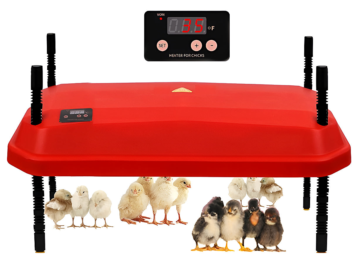 Chicken Heating Plate Brooder