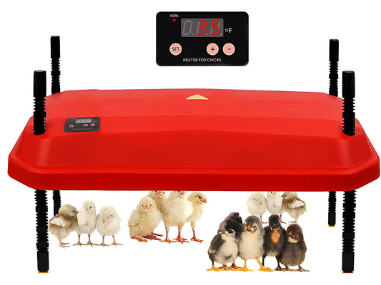 Chicken Heating Plate Brooder