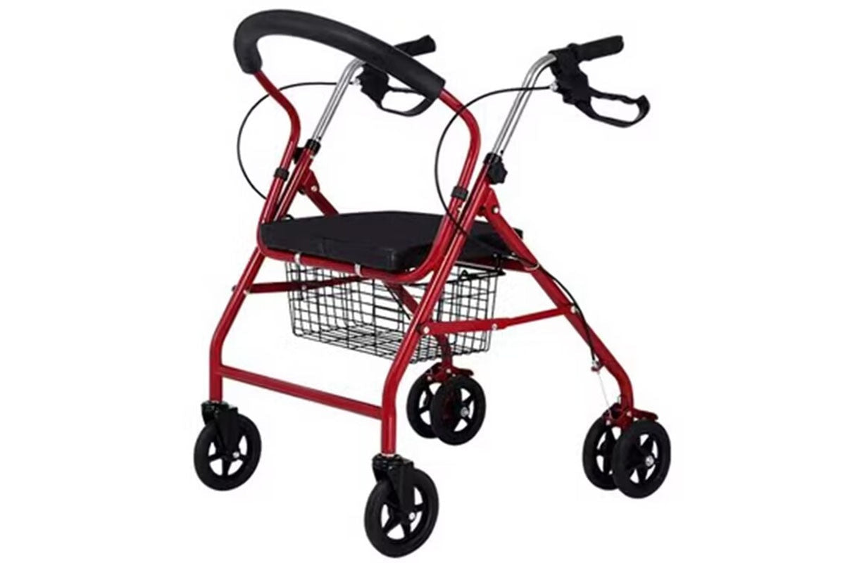 Adult Walking Frame Mobility Walker