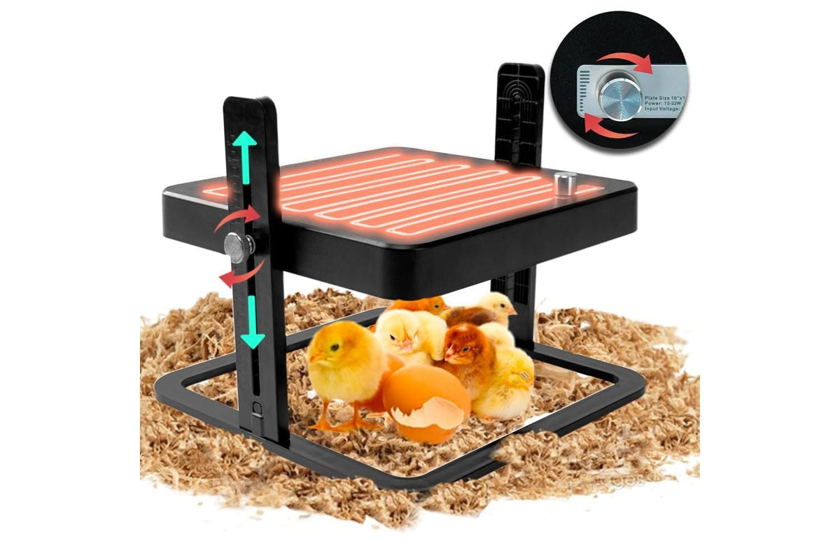 Chicken Heating Plate Brooder