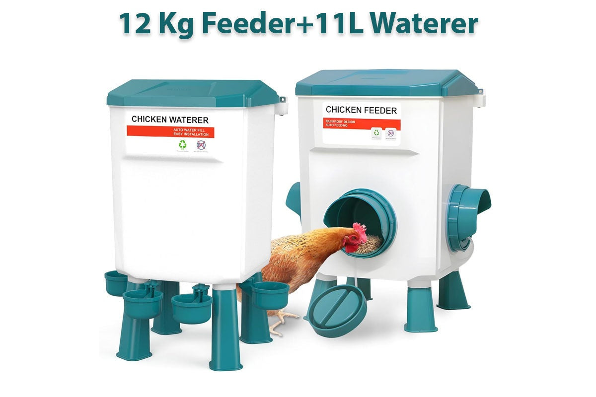 Chicken Feeder Chicken Drinker