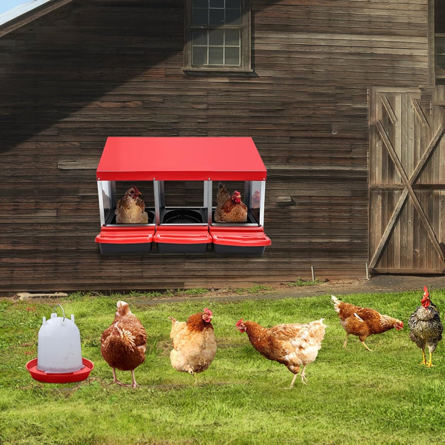Chicken Nesting Box  6 Compartment