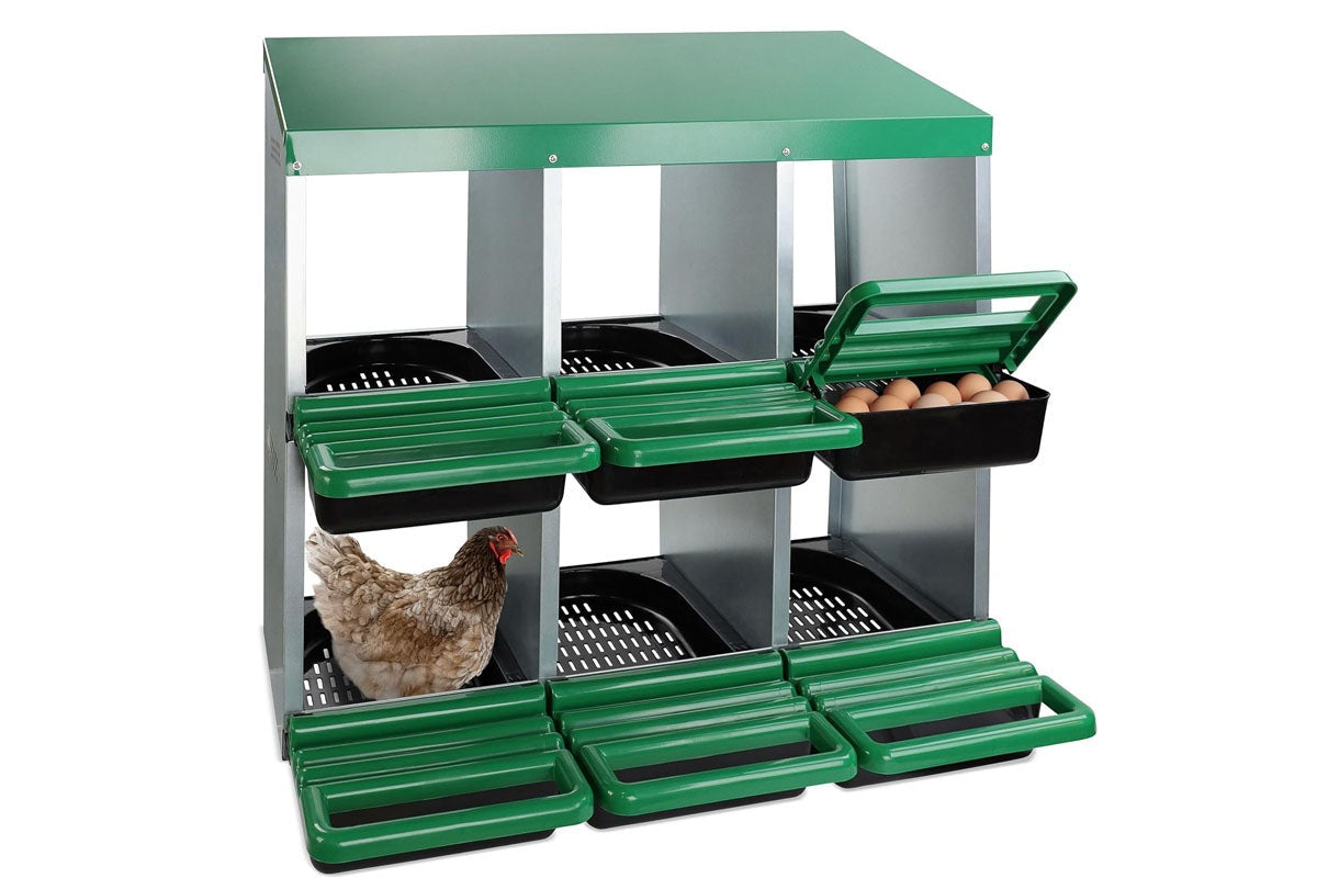 Nesting Box Chicken Hen Roll Away Laying Nest Boxes Chook Brooder 6 Compartment
