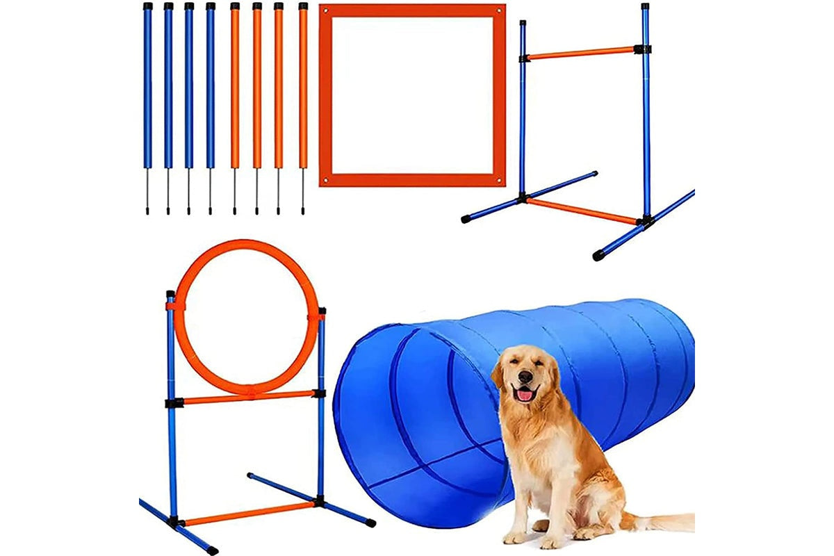 Dog Agility Equipment