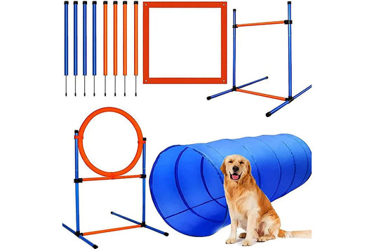 Dog Agility Equipment