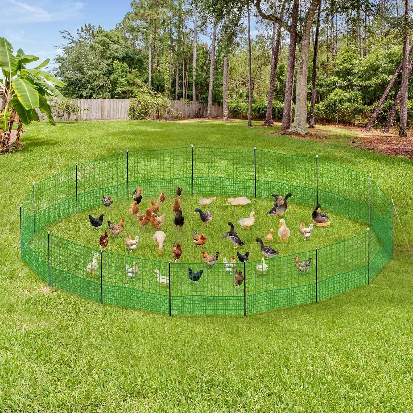 Netting Fence Fencing 12M