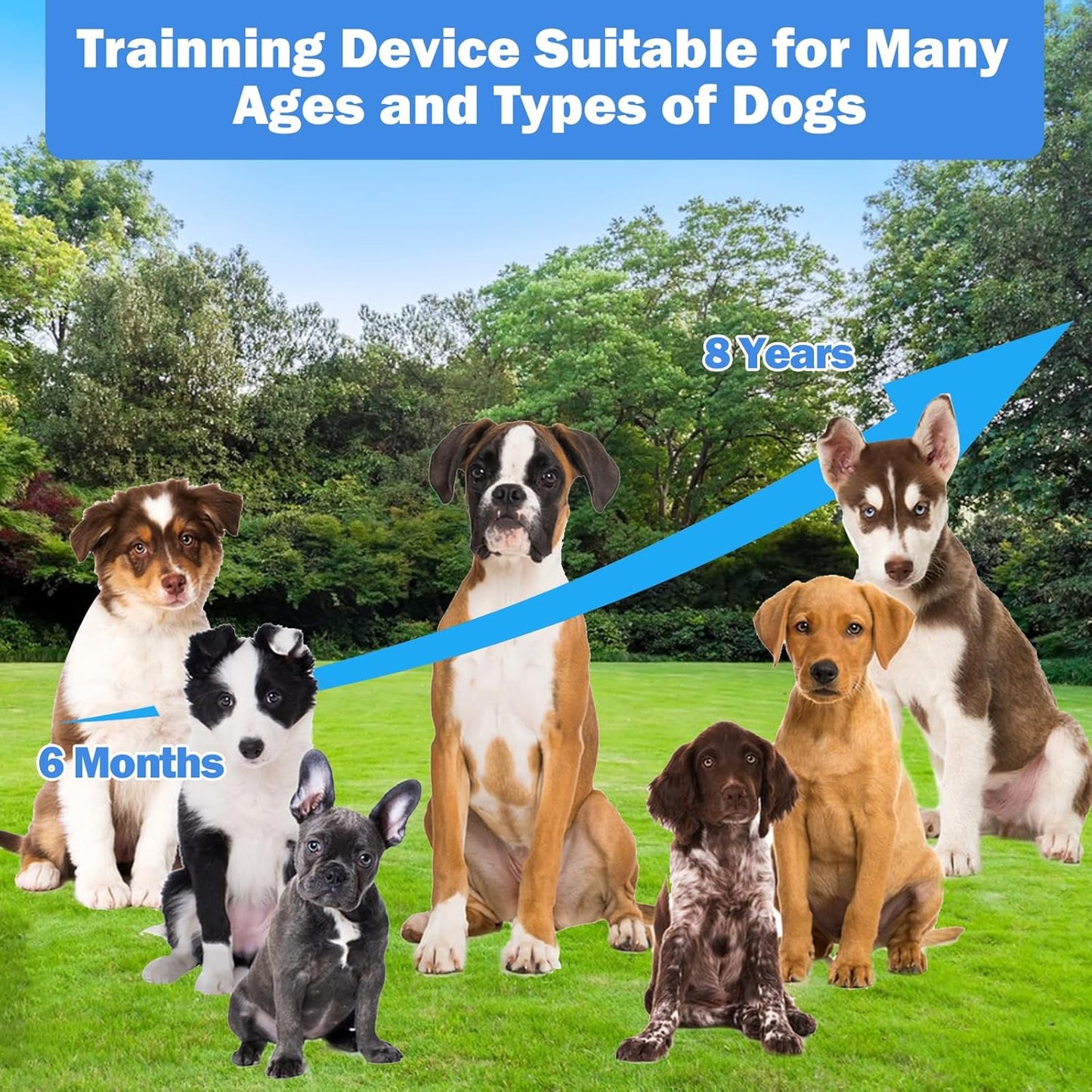 Anti Bark Dog Trainer
