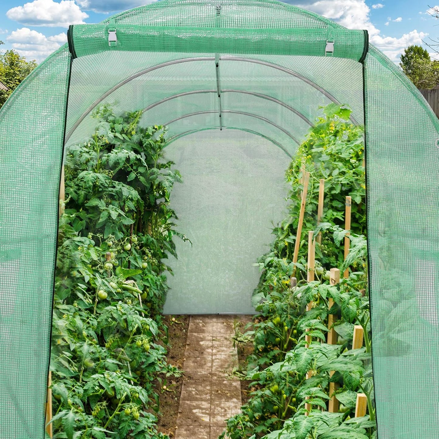 Walk in Greenhouse 4x2x2m