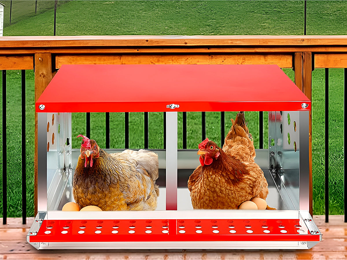 Nesting Box Chicken Hen Roll Away Laying Nest Boxes Chook Brooder 2 Compartment
