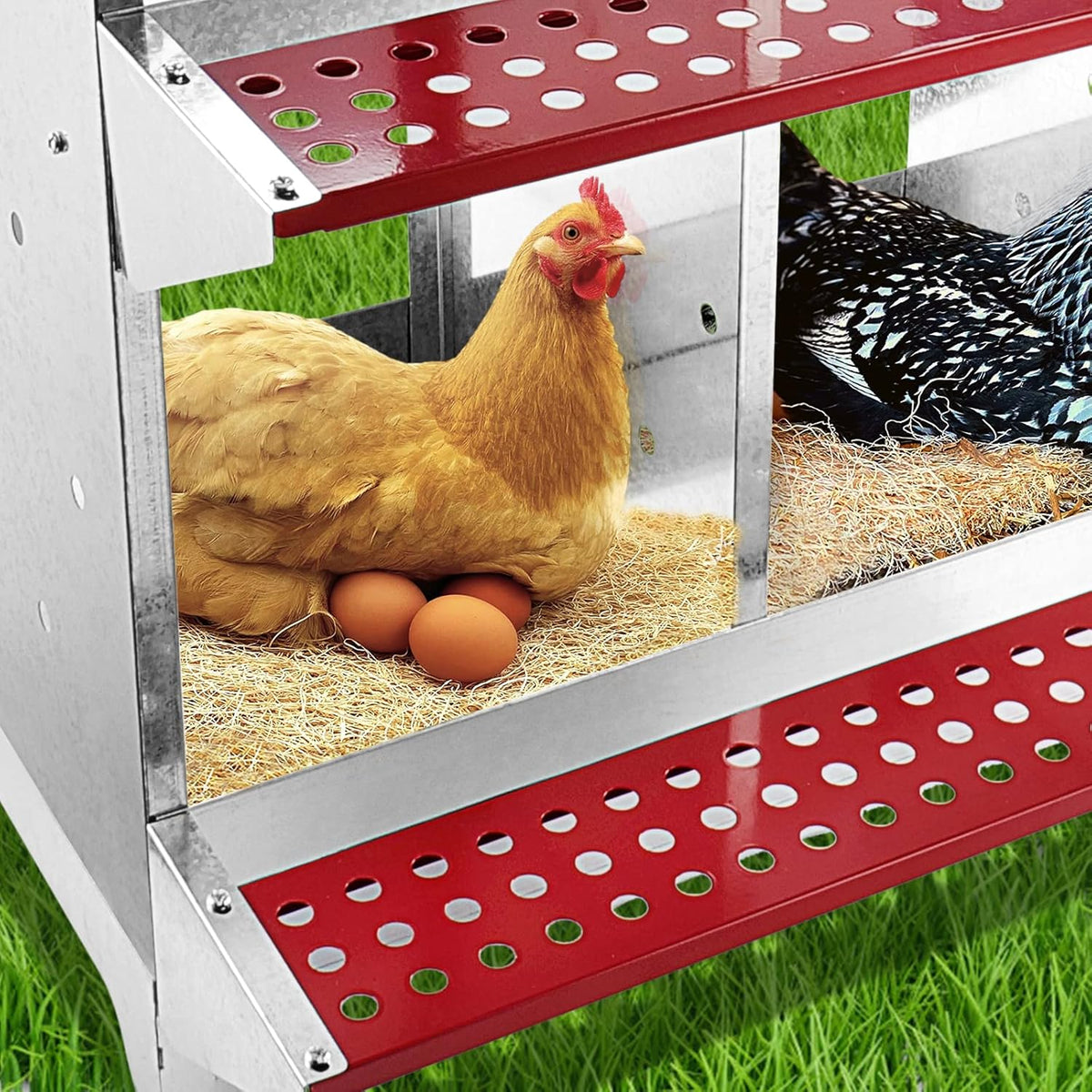 Nesting Box Chicken Hen Roll Away Laying Nest Boxes Chook Brooder 4 Compartment