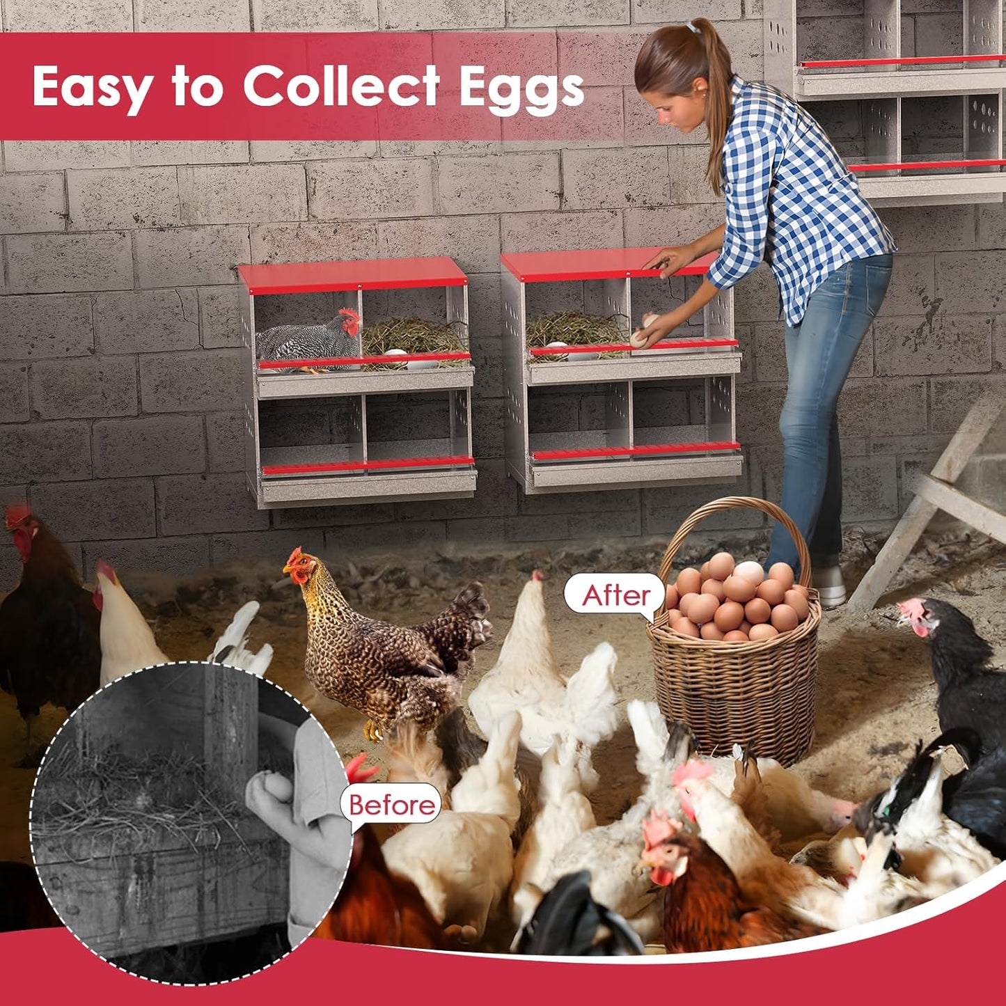 Chicken Nesting Box 4 nests