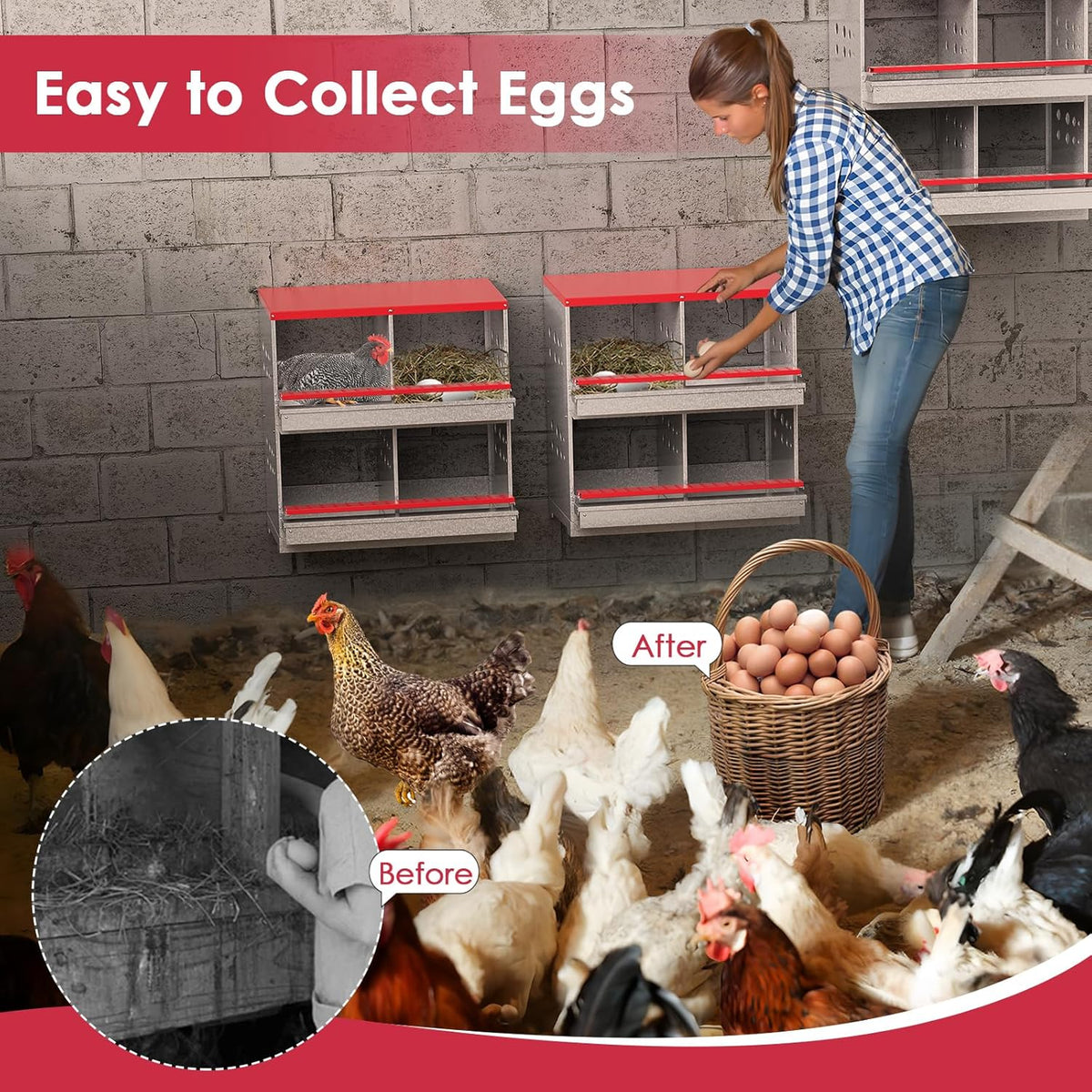 Nesting Box Chicken Hen Roll Away Laying Nest Boxes Chook Brooder 4 Compartment