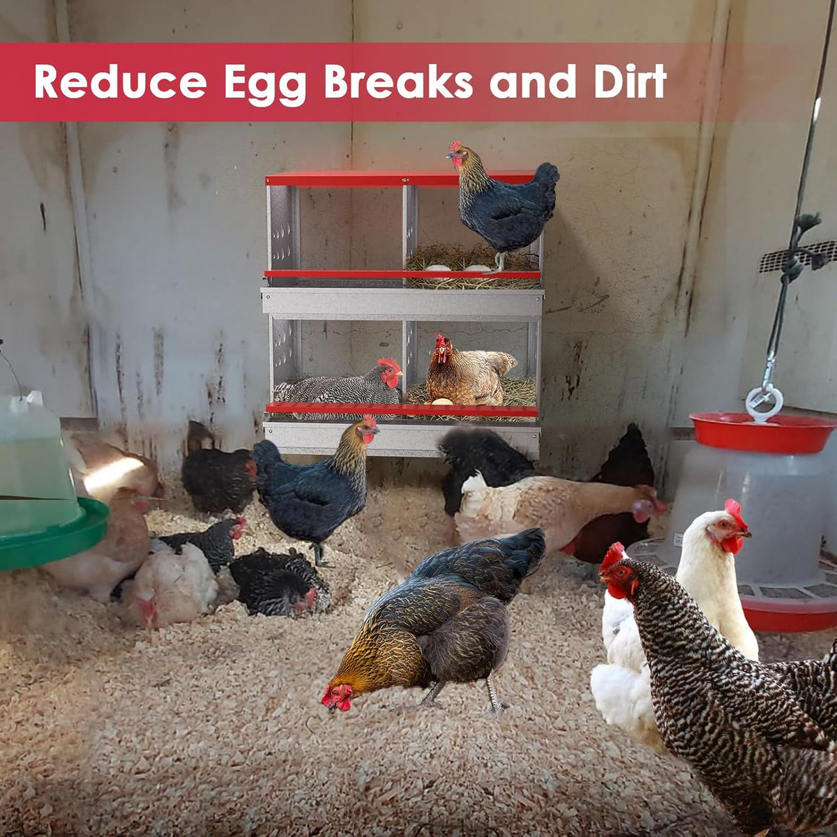 Nesting Box Chicken Hen Roll Away Laying Nest Boxes Chook Brooder 4 Compartment