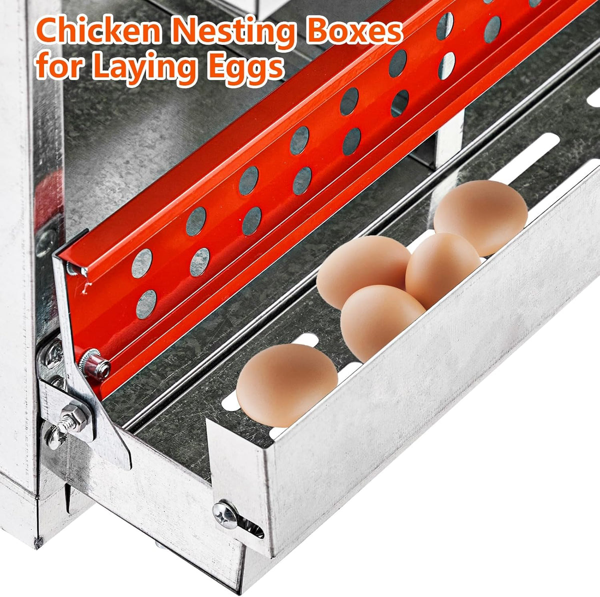 Nesting Box Chicken Hen Roll Away Laying Nest Boxes Chook Brooder 6 Compartment