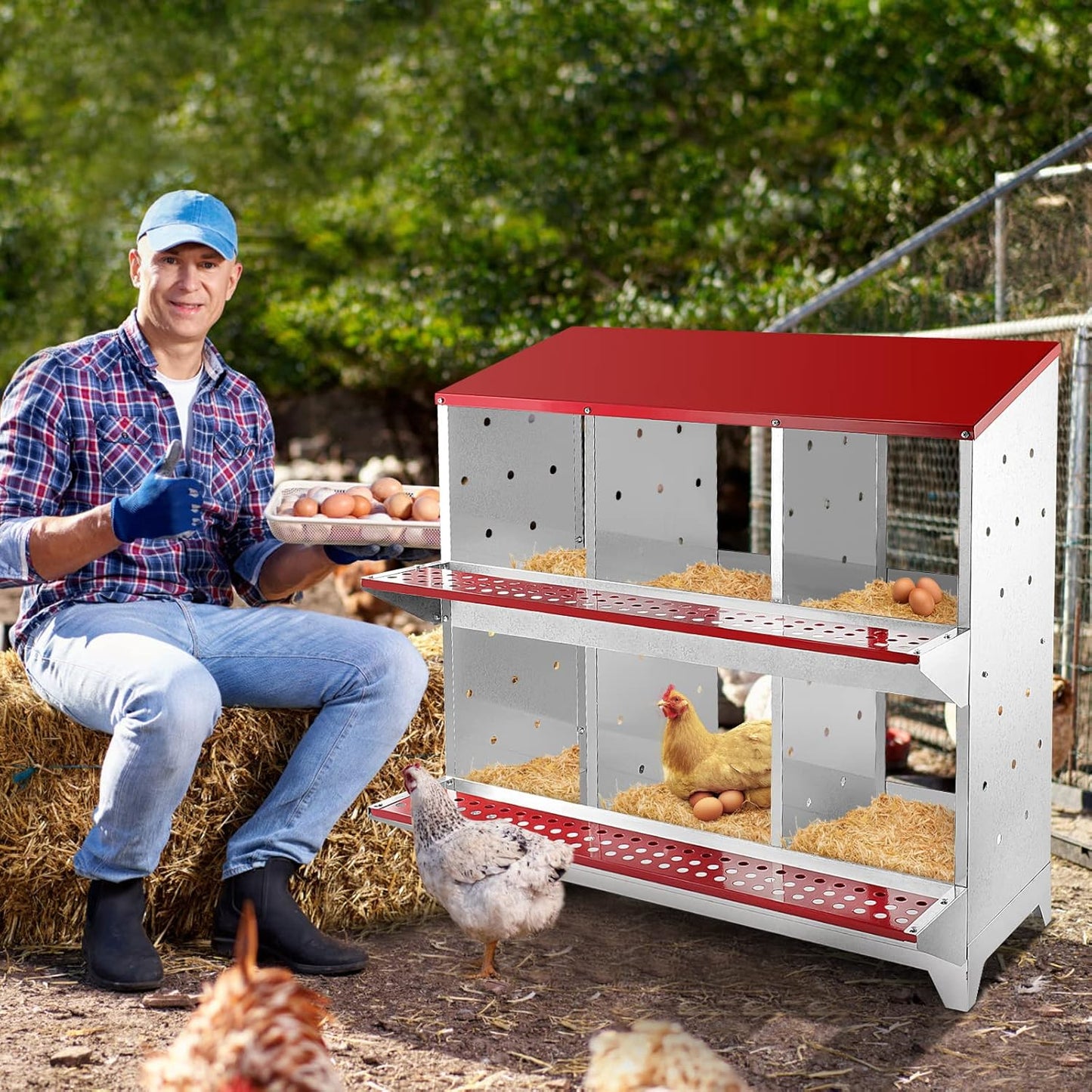 Nesting Box Chicken Hen Roll Away Laying Nest Boxes Chook Brooder 6 Compartment