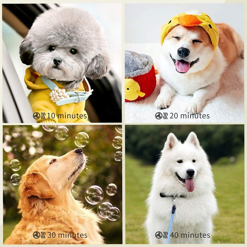 Pet Hair Dryer Grooming Blower 2600W