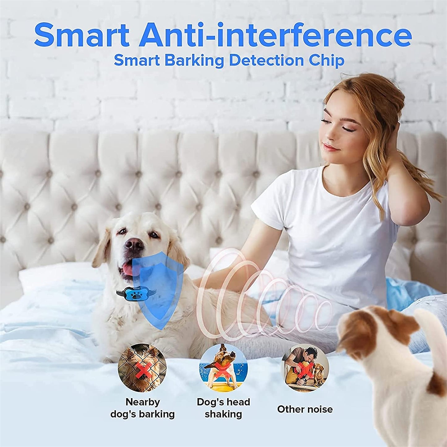 Dog Training Collar Rechargeable