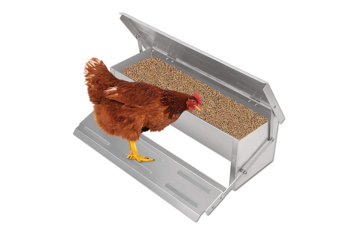 Automatic Chicken Feeder