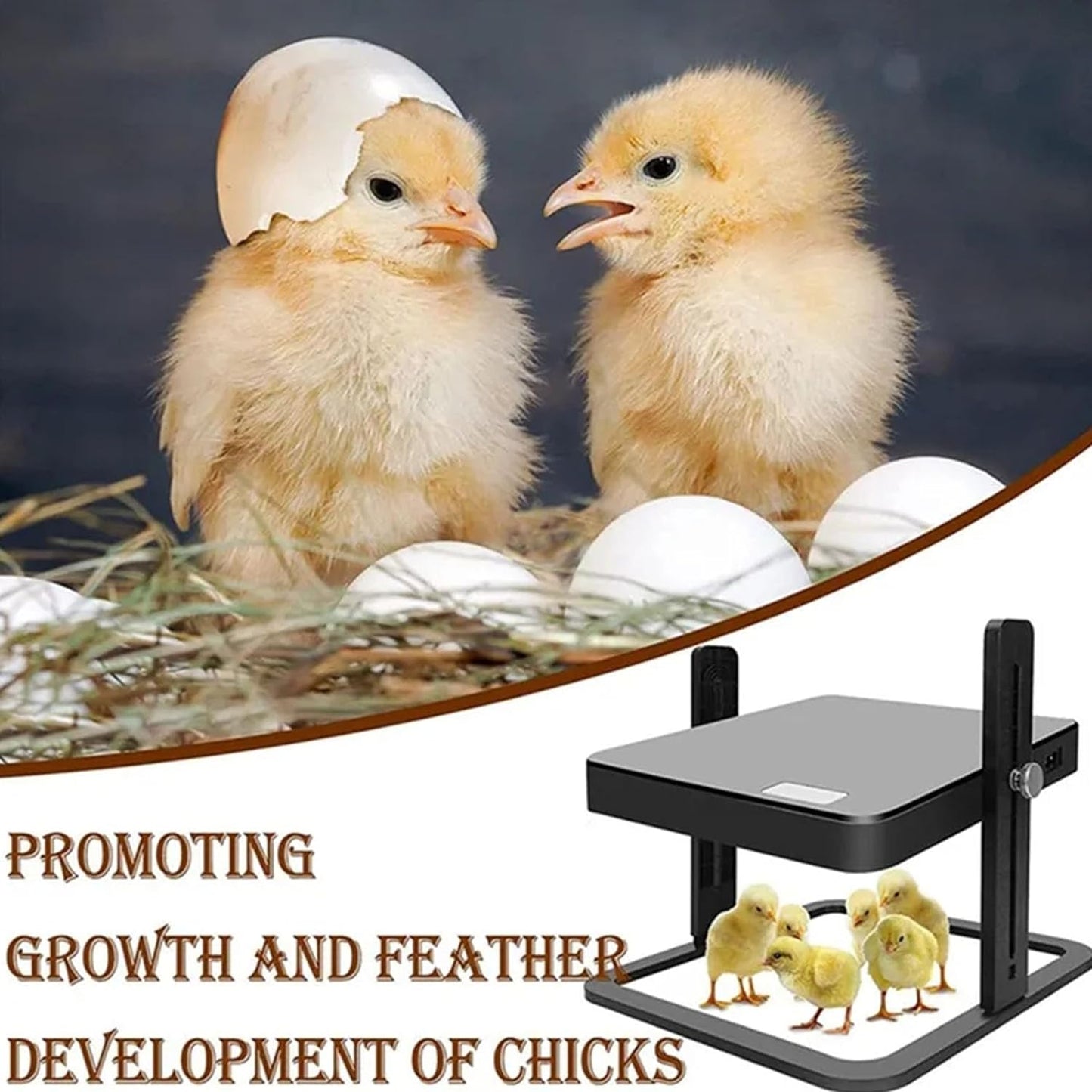 Chick Brooder Heating Plate Warmer,Chicken Coop Warmer