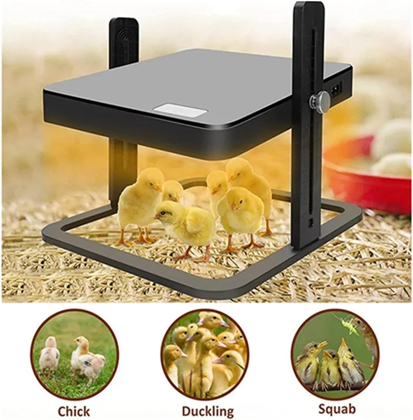 Chick Brooder Heating Plate Warmer,Chicken Coop Warmer