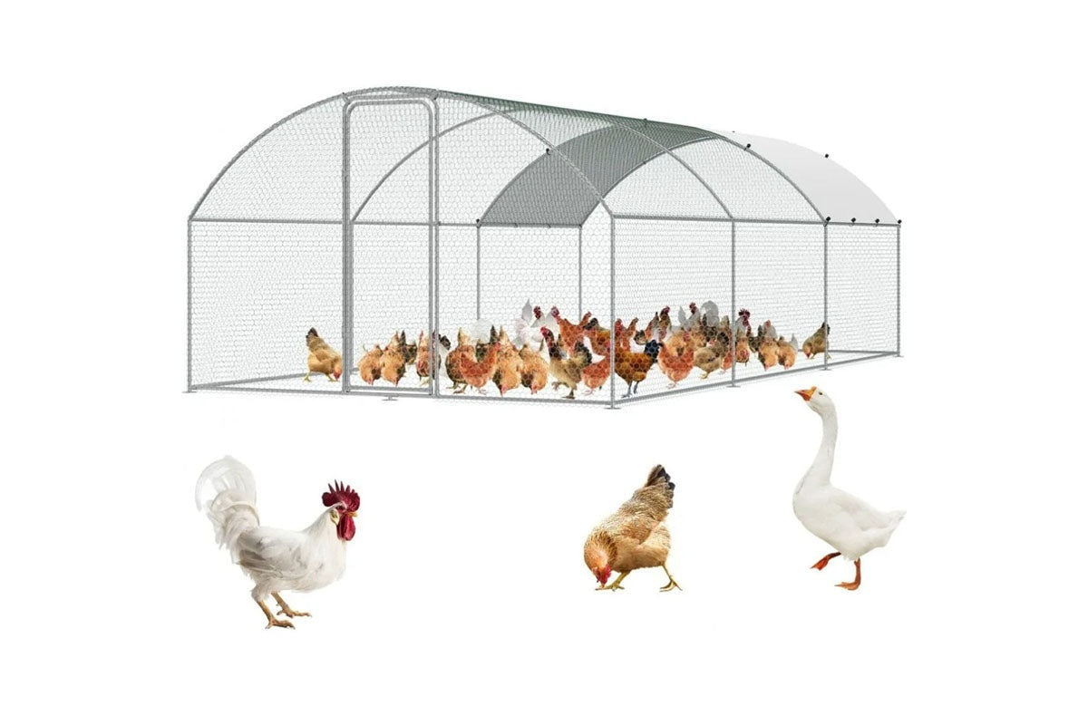 Chicken Coop Run 6m * 3m * 2m