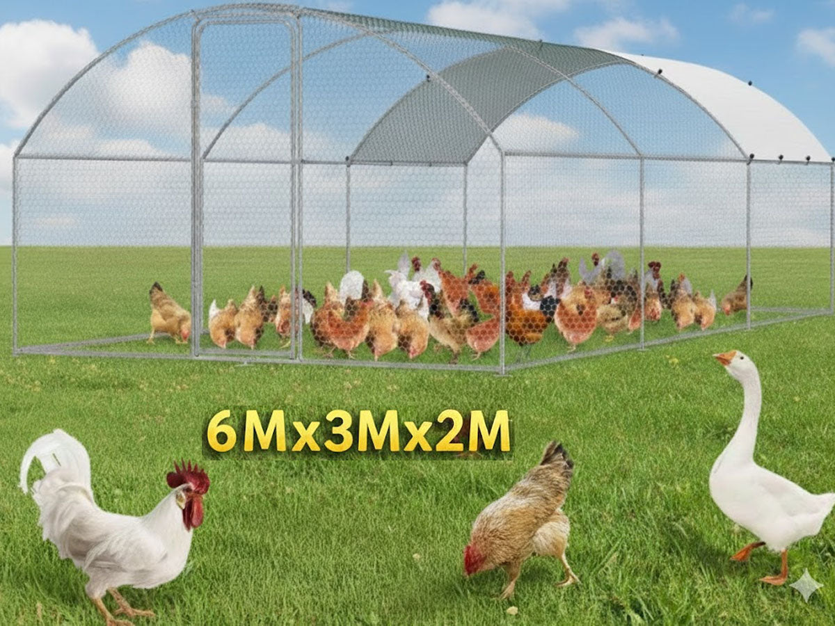 Chicken Coop Run 6m * 3m * 2m