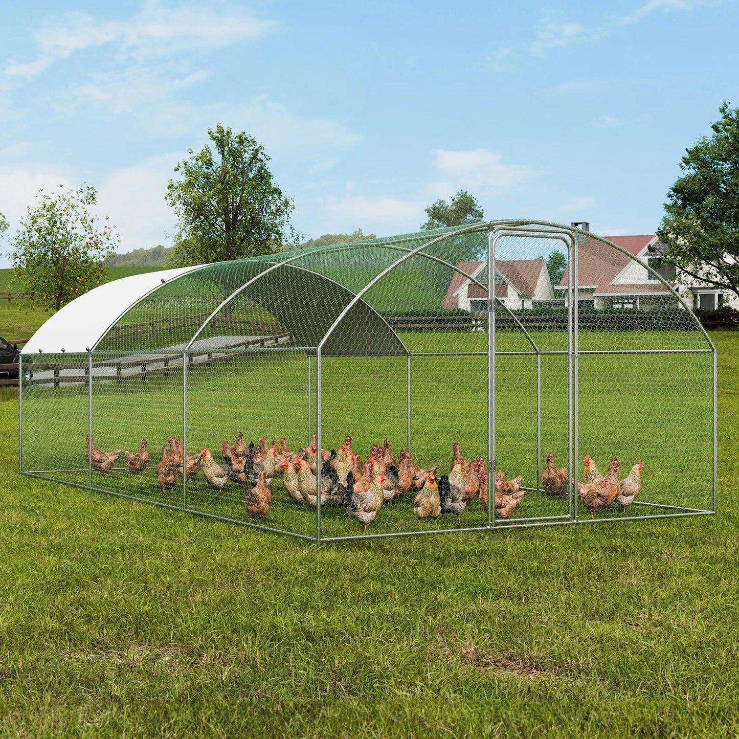 Chicken Coop Run 6m * 3m * 2m