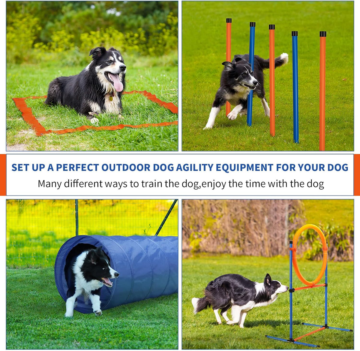 Dog Agility Equipment Set | Dog Training Equipment for Dog Agility Training & Backyard Obstacle Course