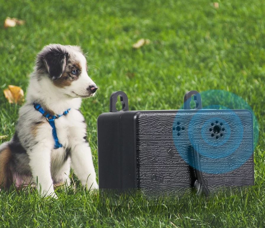 Barking Anti Bark Silencer