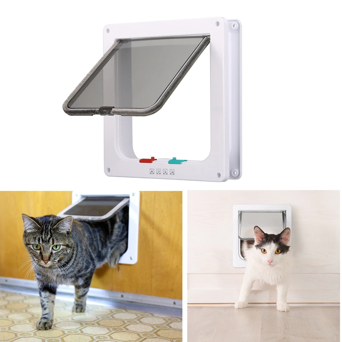 Cat Door