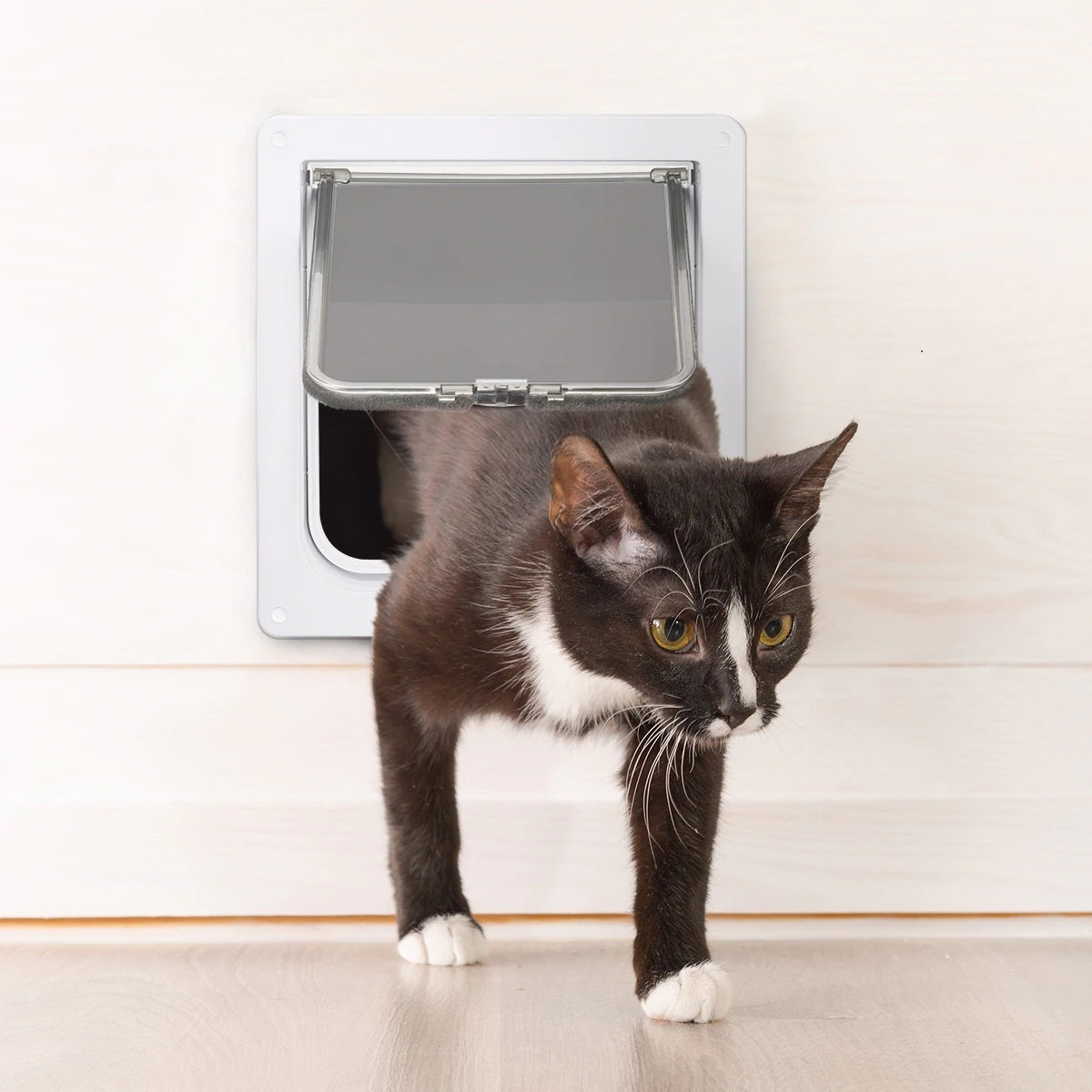 Cat Door