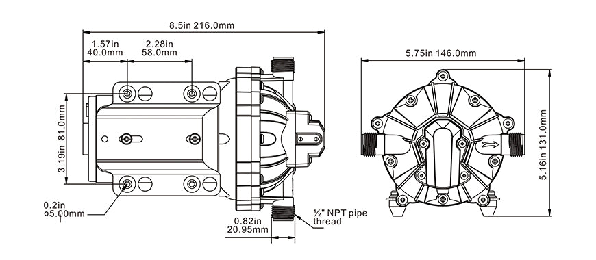 Seaflo 12V Dc Diaphragm Pump 5.0Gpm 60Psi
