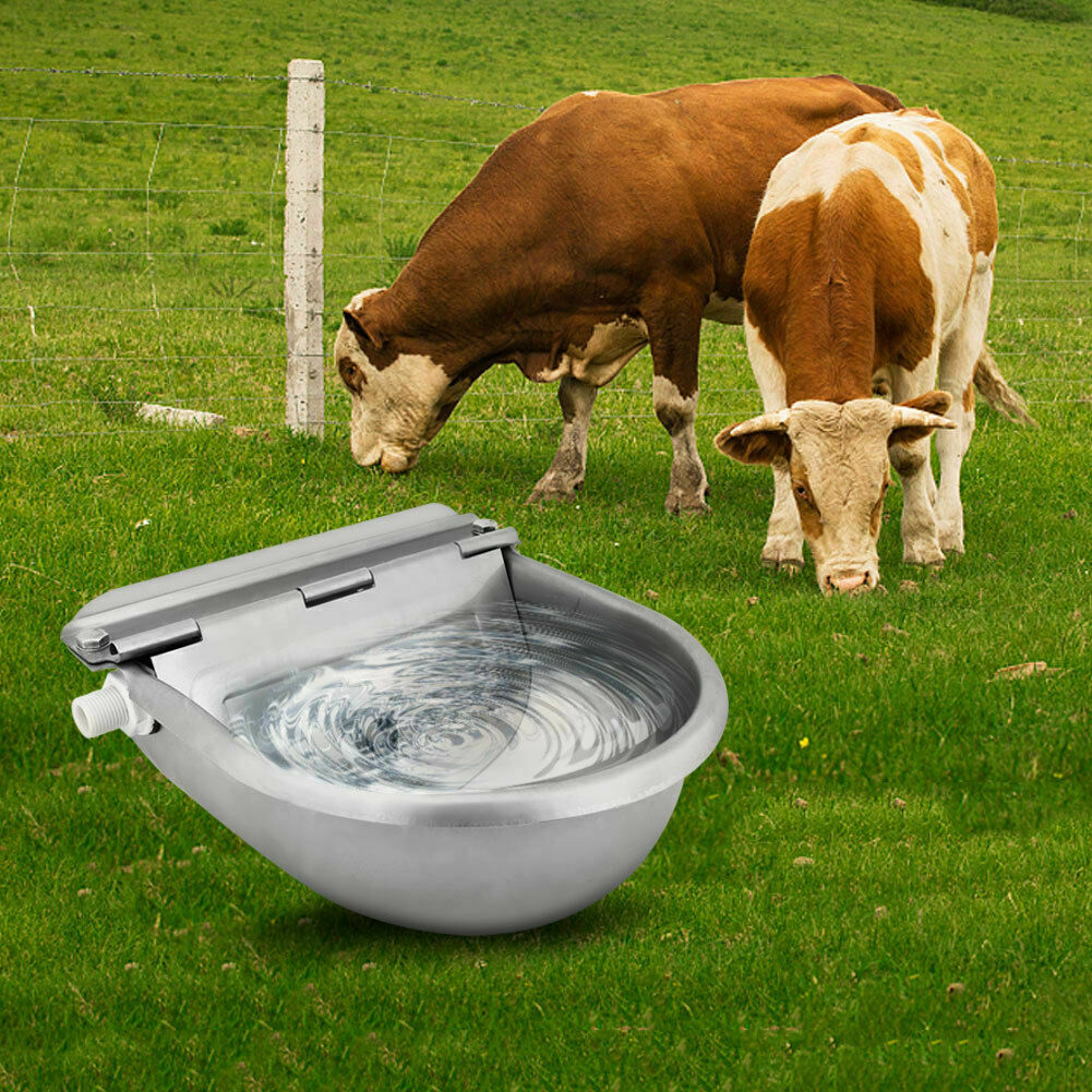 Automatic Drinking Bowl Water Trough Bowl