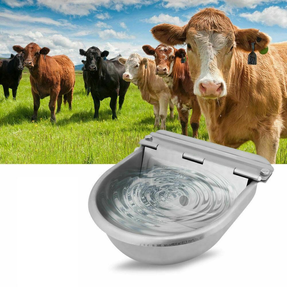 Automatic Drinking Bowl Water Trough Bowl