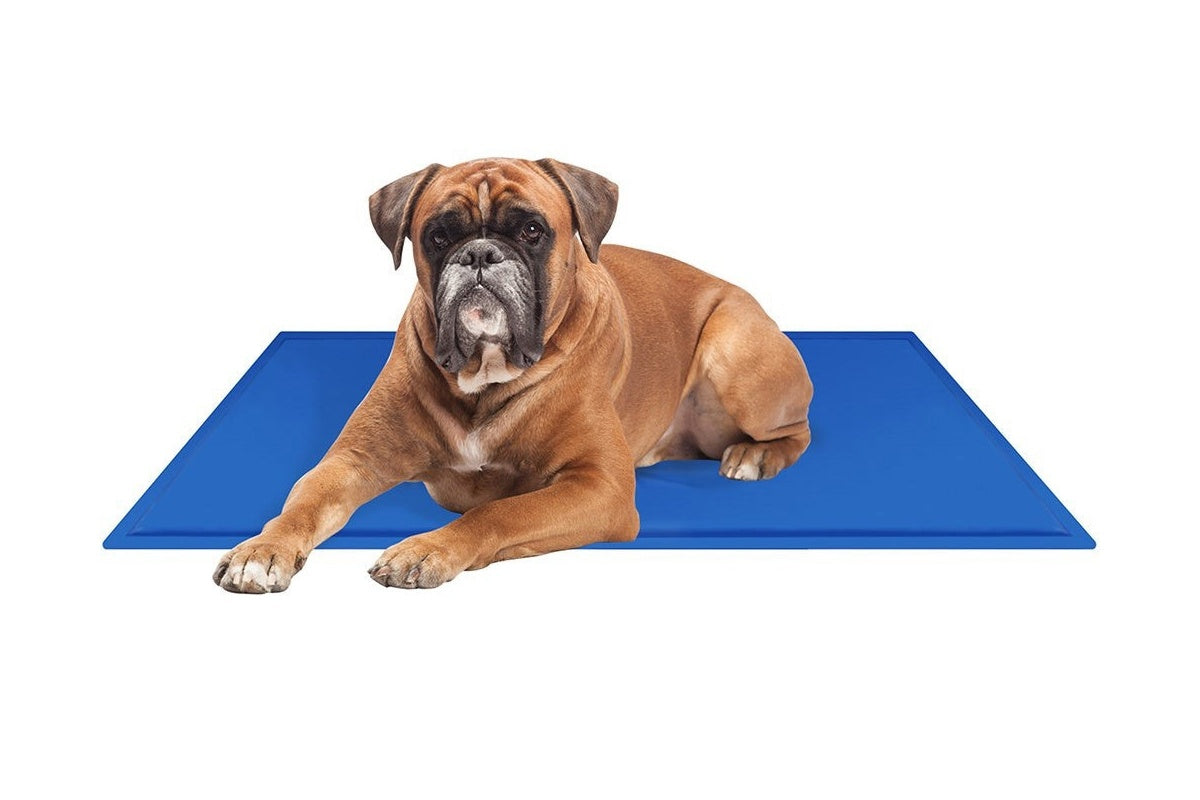 Pets Gel Cooling Mat Pet Dog Cooling Pad Extra Large