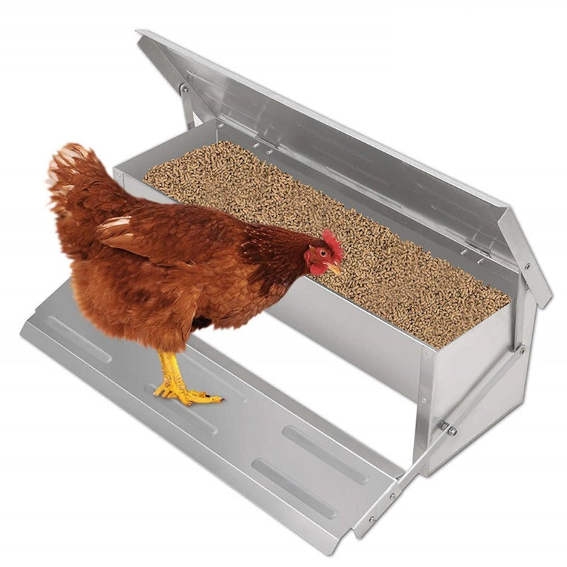Chicken Feeder